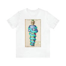 Load image into Gallery viewer, Temple of Amara "Serapis" T Shirt Unisex Fit for Men & Women